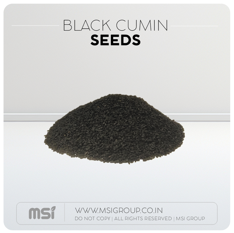 Black-cumin-seeds-msi-group-products