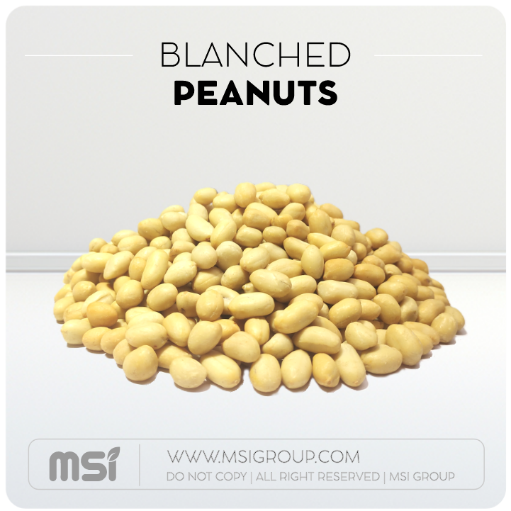 Blanched-peanuts-msi-group-products