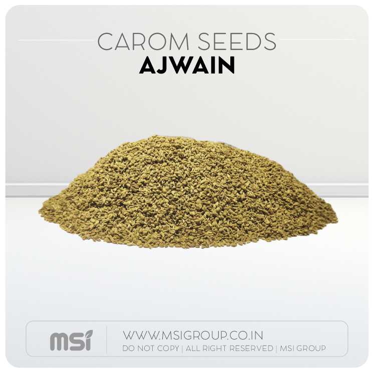 Carom-seeds-ajwain-msi-group-products