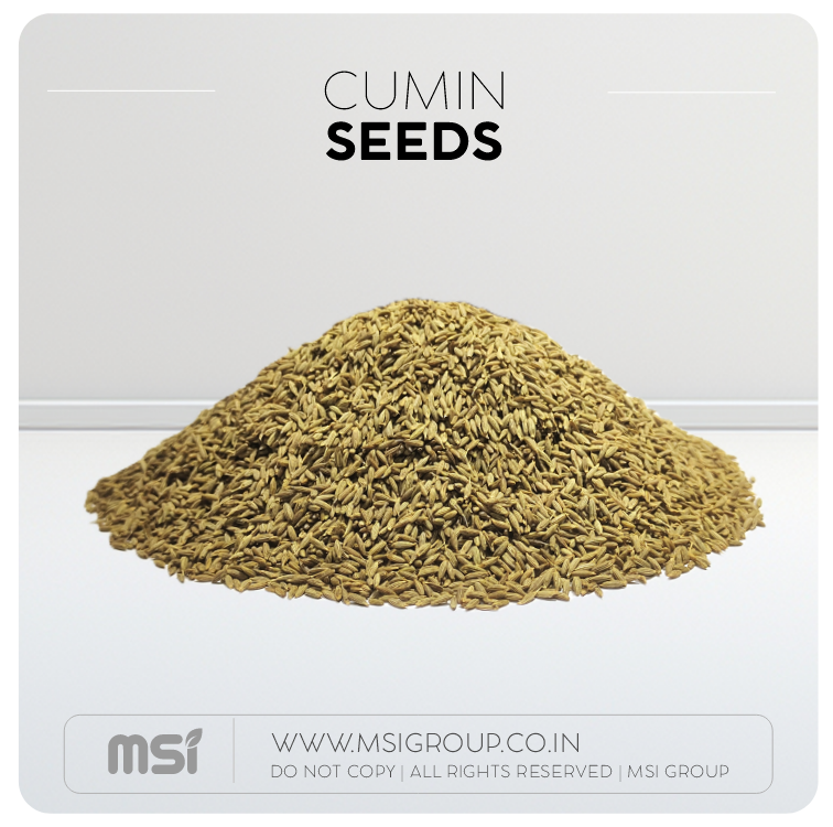 Cumin-seeds-msi-group-products