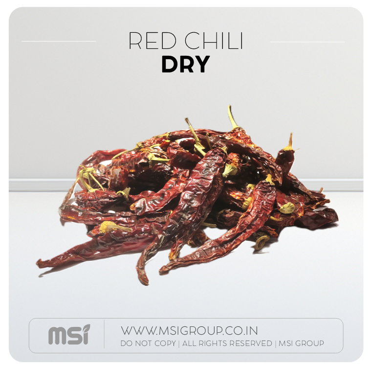 Dry-red-chili-msi-group-products