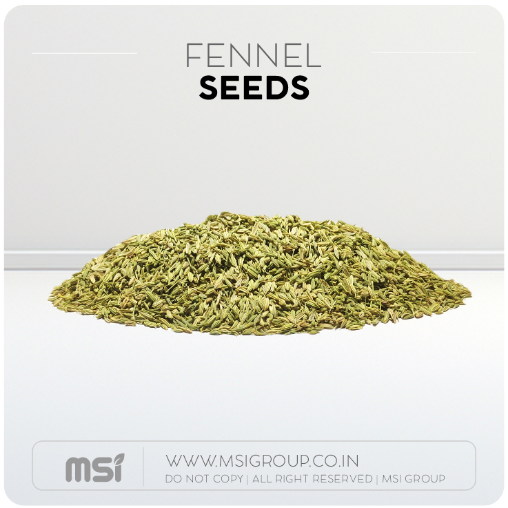 Fennel-seeds-msi-group-products