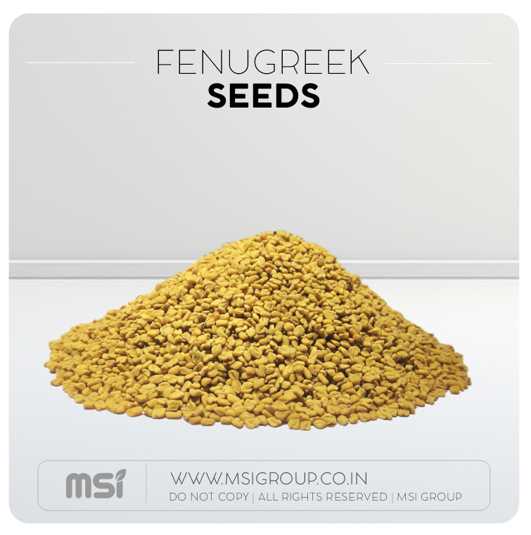 Fenugreek-seeds-msi-group-products