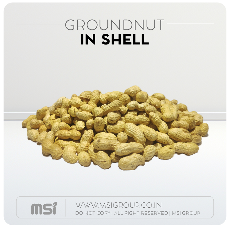 Groundnut-in-shell-msi-group-products