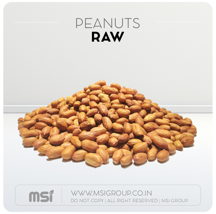 Raw-peanuts-msi-group-products