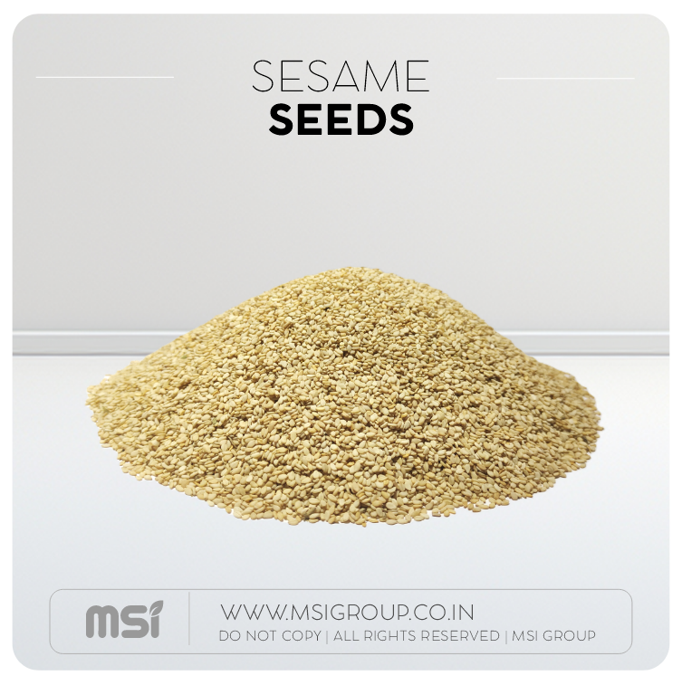 Sesame-seeds-msi-group-products